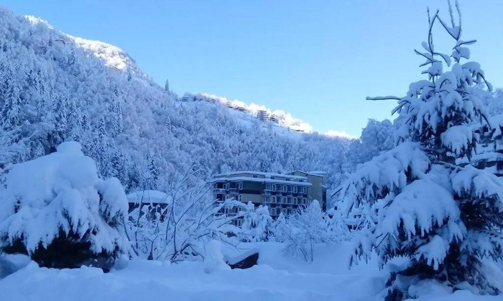 Ridos Thermal Hotel & Spa Ikizdere  Экстерьер фото